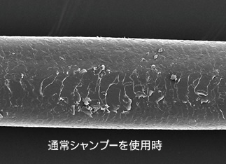 通常のシャンプー